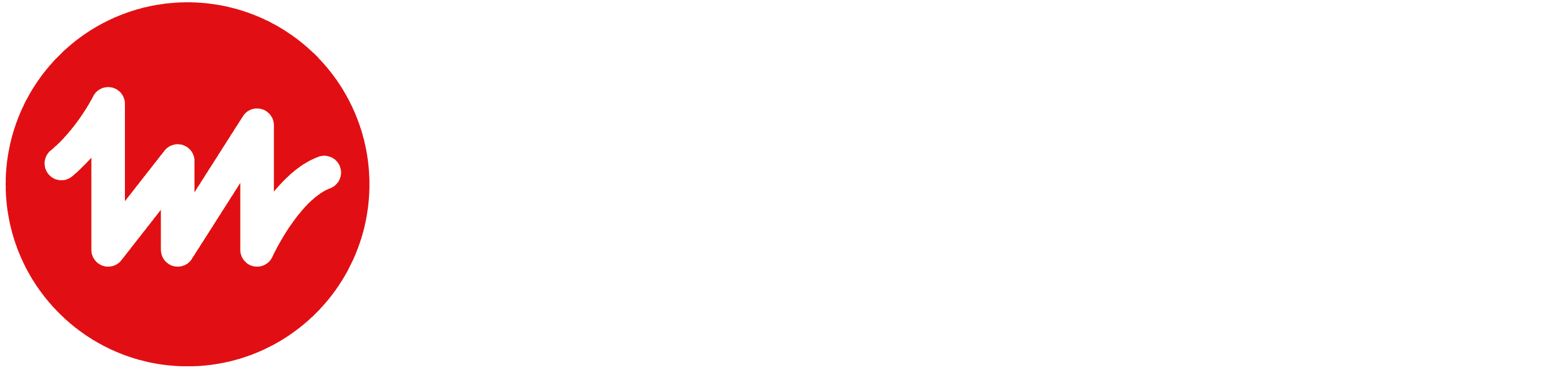 Litradio Logo